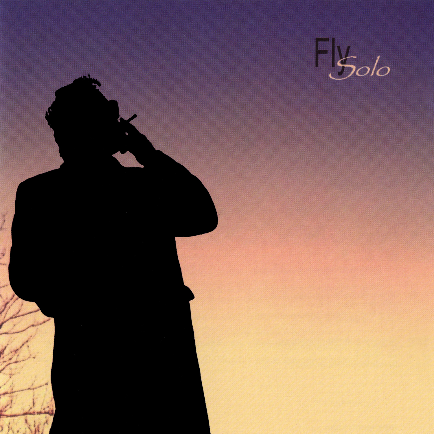 55298ab90108cf394df61ba0_02%20Fly%20Solo.jpg